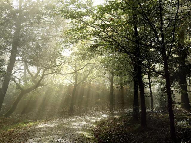 Studio Avec Superbe Vue 5Min A Pied Des Thermes Bagnoles de l'Orne Normandie Dış mekan fotoğraf